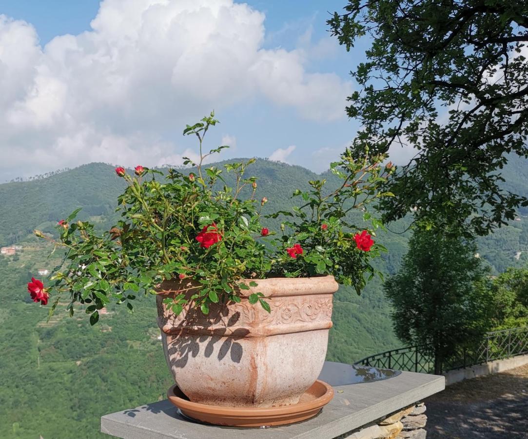 Elsa House Bed and Breakfast Mezzanego Exterior foto