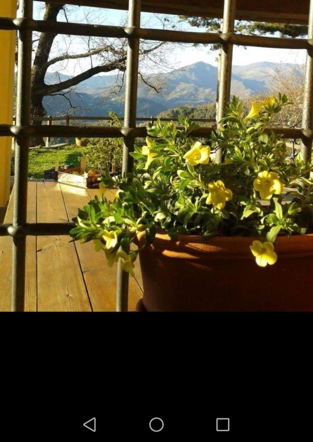 Elsa House Bed and Breakfast Mezzanego Exterior foto