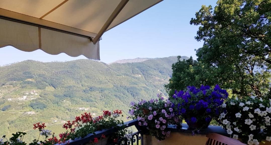 Elsa House Bed and Breakfast Mezzanego Exterior foto