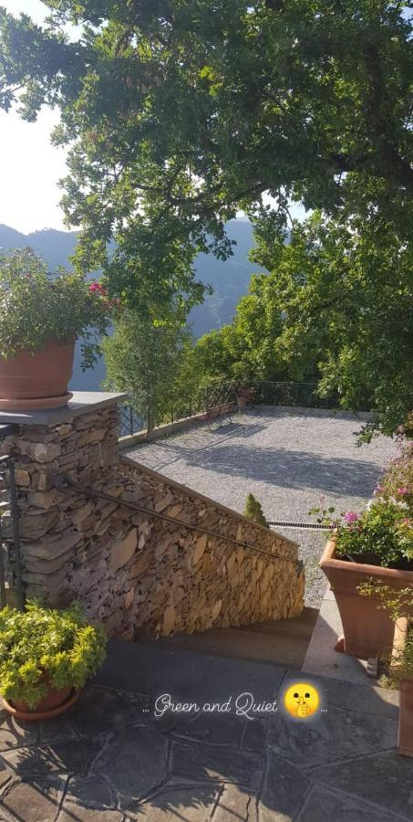 Elsa House Bed and Breakfast Mezzanego Exterior foto