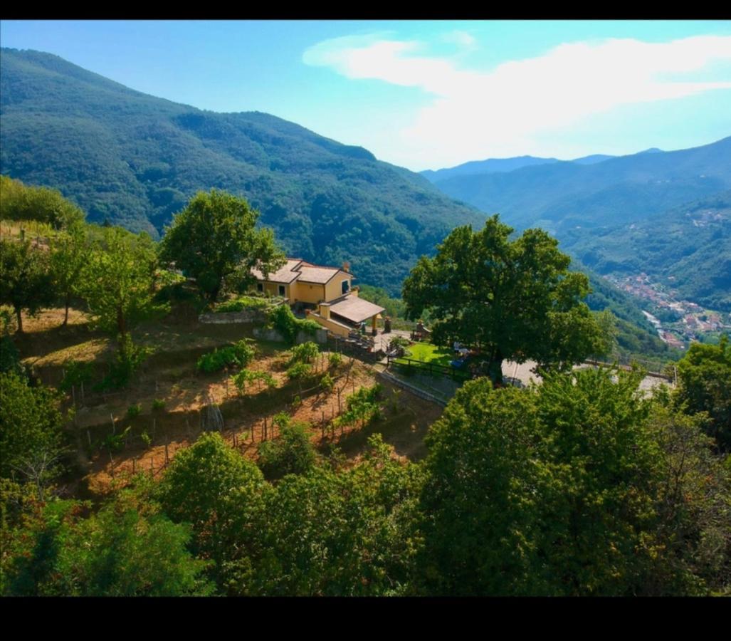 Elsa House Bed and Breakfast Mezzanego Exterior foto